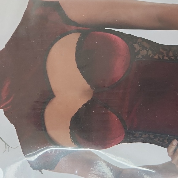 Red/Burgandy Vampire Corset, Bustier Top, Adult L/XL - Picture 2 of 4